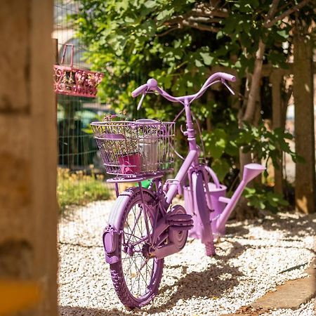 דירות פורץ Casa Parenzana מראה חיצוני תמונה
