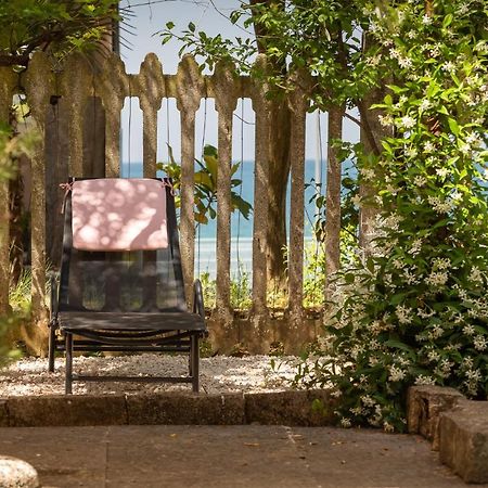 דירות פורץ Casa Parenzana מראה חיצוני תמונה